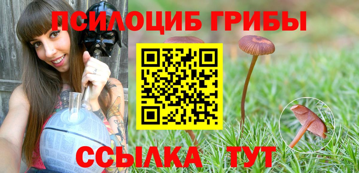 Чапаевск  Псилоцибиновые грибы GOLDEN TEACHER  где продают наркотики  Вход с VPN 